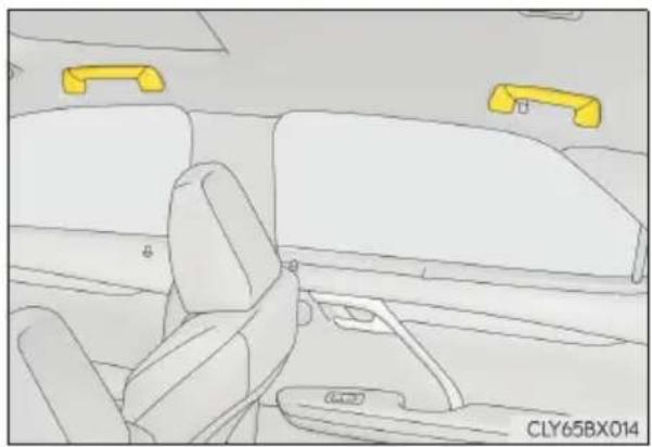 LEXUS RX 200t (2016) - Uchwyty asekuracyjne - 1