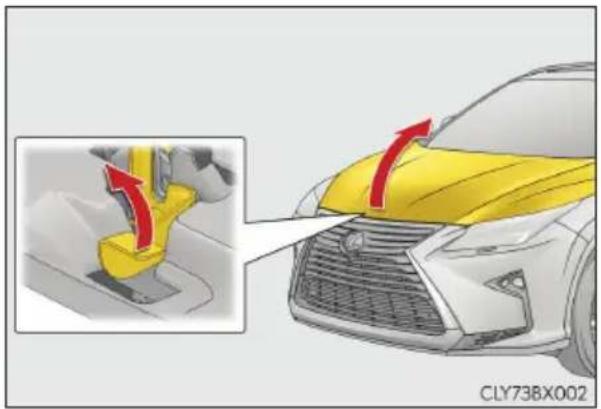 LEXUS RX 200t (2016) - Pokrywa silnika - 2