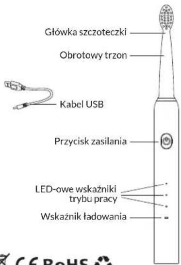 Główka szczoteczki Obrotowy trzon Kabel USB Przycisk zasilania LED-owe wskaźniki trybu pracy Wskaźnik ładowania