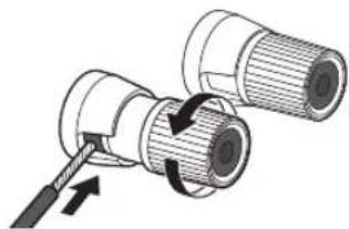 TECHNICS ST-C100EG - Podłączeniegłośnika - 2