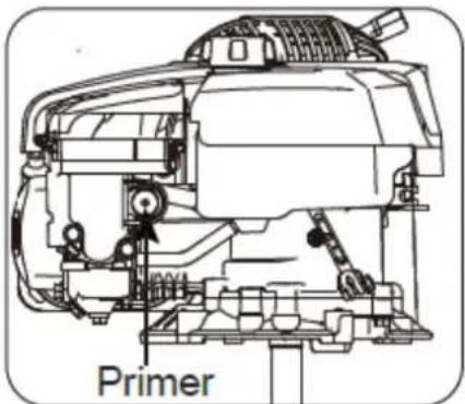 Primer