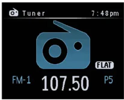 Tuner 7:48pm FM-1 107.50 P5 FLAT