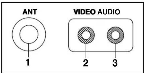 ANT 1 VIDEO AUDIO 2 3