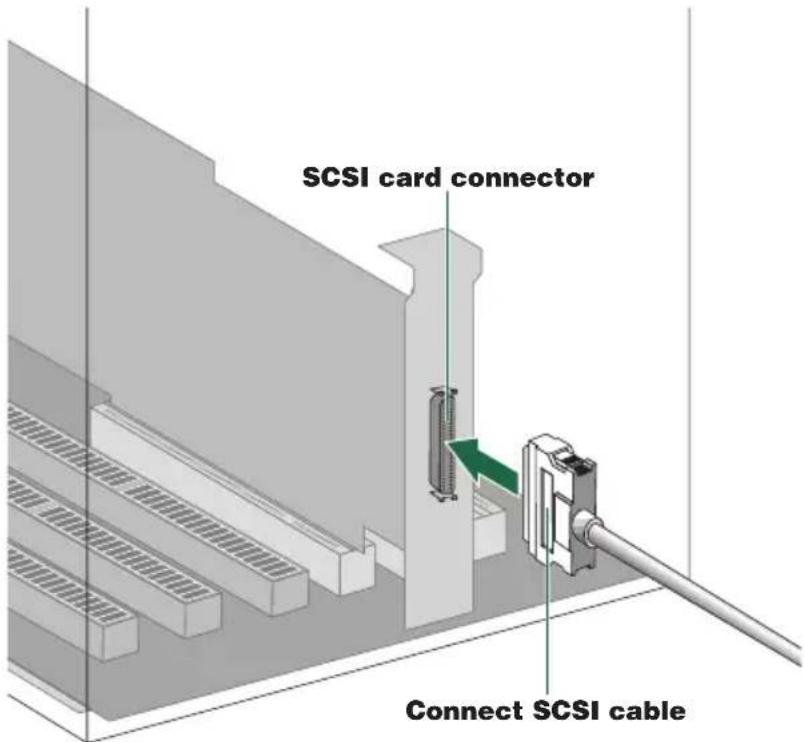 SCSI card connector Connect SCSI cable
