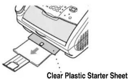 Clear Plastic Starter Sheet