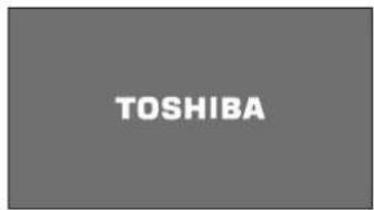 TOSHIBA