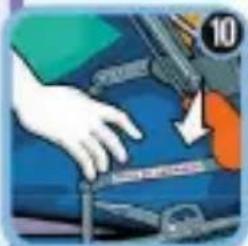 Galzerano Pegasus - 10