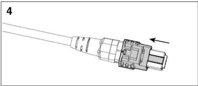 Panduit FXTHP6NLDSNM012 - PanMPO Gender Changeover - 4