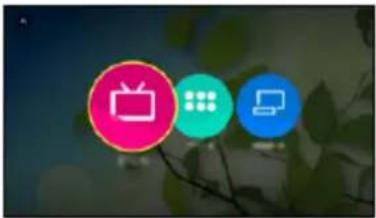PANASONIC TX-49CXF757 - Como utilizar - 1