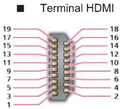 PANASONIC TX-49CXF757 - ■ Terminal AV1 (SCART) (RGB, VÍDEO) - 2