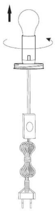Lucide Palm 13523/01/31 - 3