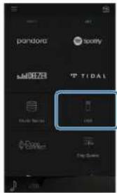 pandora Spotify MORZEI TIDAL Music Service USB