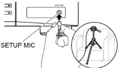 SETUP MIC SETUP MIC