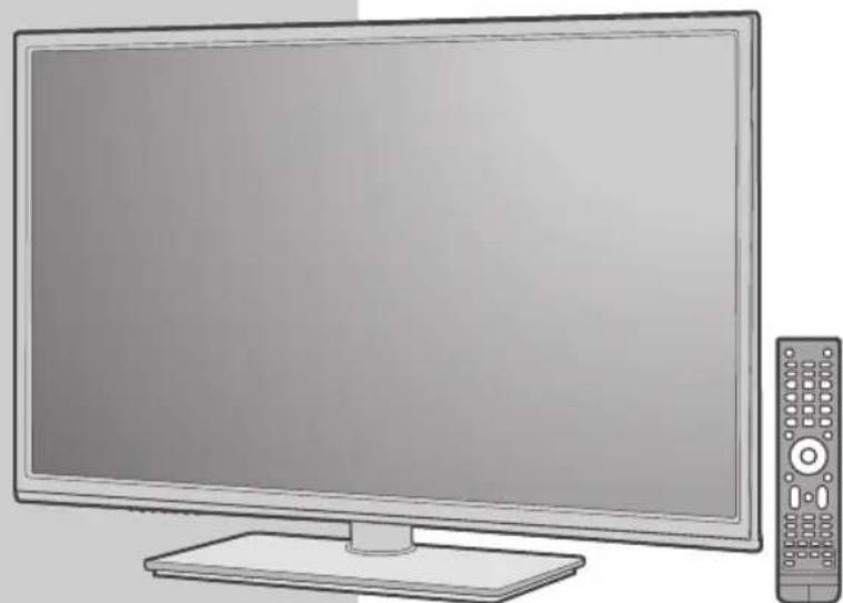 Semp Toshiba DL 3975I - Manual de Instruções - 1
