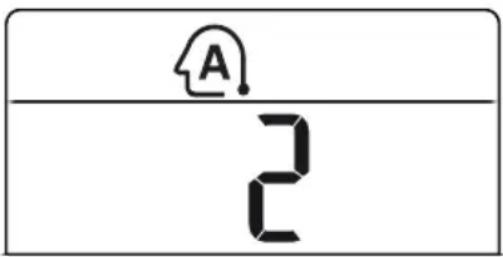 A 2