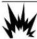 Generac RG04524KNSX - WARNING - 1