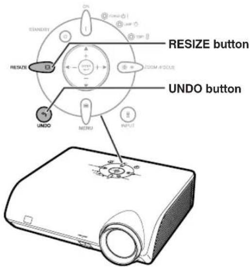 RESIZE button UNDO button UNDO MENU INPUT