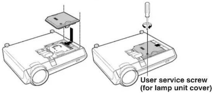 User service screw (for lamp unit cover)