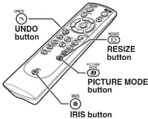 UNDO UNDO button RESIZE RESIZE button PICTURE MODE PICTURE MODE button IRIS IRIS button