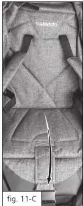 SAMcdo fig. 11-C