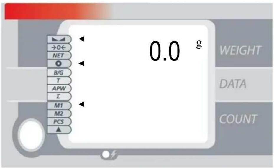 0.0 g →O← NET B/G T APW Σ M1 M2 PCS ▲ WEIGHT DATA COUNT