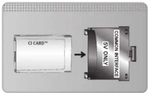 CI CARD™ COMMON INTERFACE 5V ONLY