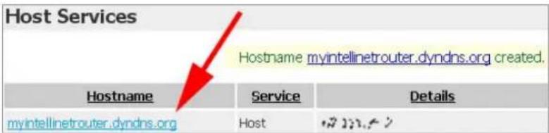 Intellinet Wireless G 4-Port Router 524636 - How to Use dyndns.org - 3