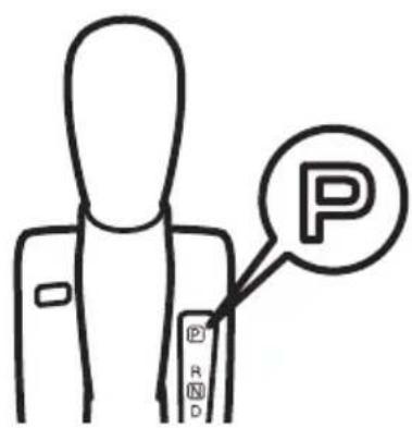 P P R D