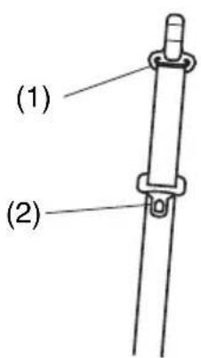 (1) (2)