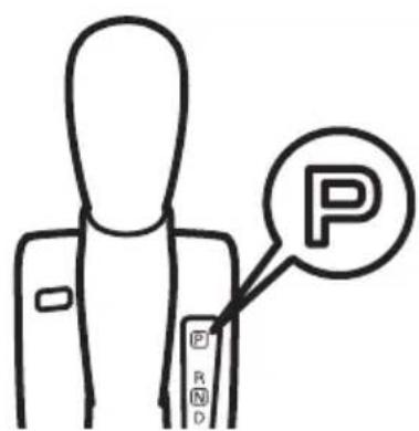 P R D