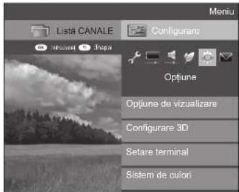 Lista CANALE Configurare Options Optiune Optiune de vizualizare Configurare 3D Setare terminal Sistem de culori