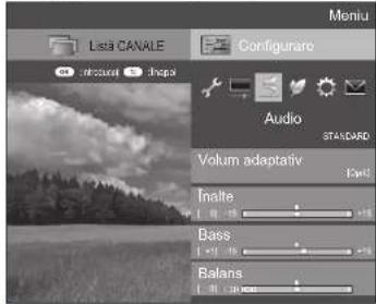 List CANALE Configurare Audio STANDARD Volum adaptativ Inatte Bass Balans