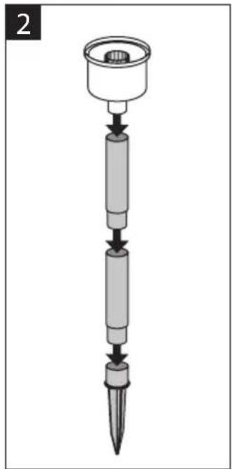 Massive Koko - 11