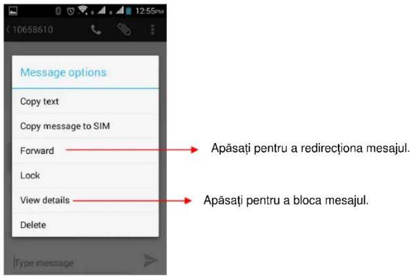 Message options Copy text Copy message to SIM Forward Lock View details Delete Type message Apăsați pentru a redirecționa mesajul. Apăsați pentru a bloca mesajul.