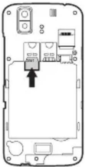 SIM1