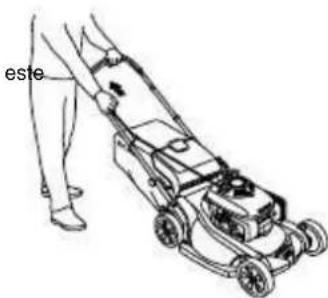 este