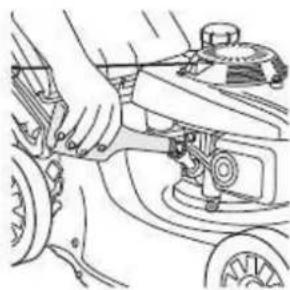 Honda HRX537VKE - NOTA - 2