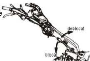 deblocat biocat