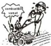 combustibil vaisat