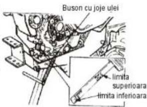 Buson cu joje ulei limita superioara limita inferioara