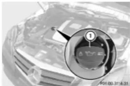 Mercedes-Benz E207 (2009) - Notă privind protecția mediului - 1
