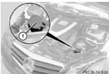 Mercedes-Benz E207 (2009) - Sistemul de spălare a parbrizului/farurilor\* - 1