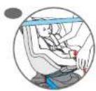Coccolle C 845 - Instalarea in masina - 9