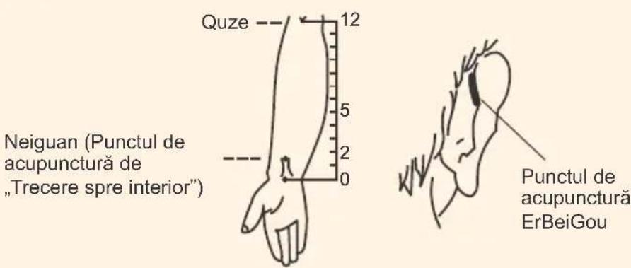 Quze 12 5 2 0 Neiguan (Punctul de acupunctură de „Trecere spre interior") Punctul de acupunctură ErBeiGou