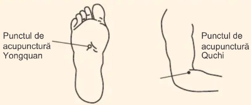 Punctul de acupunctură Yongquan Punctul de acupunctură Quchi
