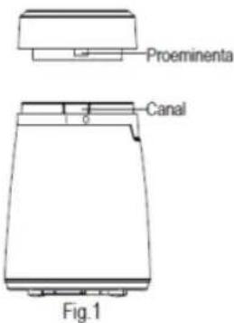 Proeminenta Canal Fig.1
