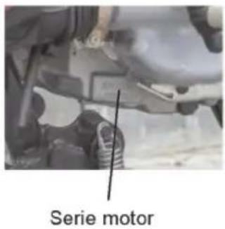 Serie motor