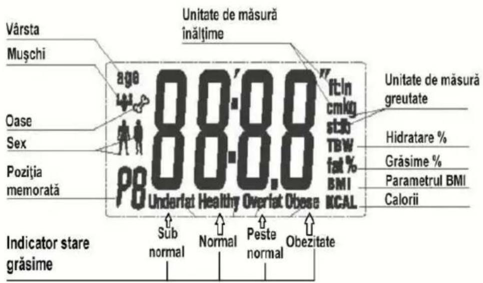 Vårsta Muşchi Oase Sex Pozitia memorată Indicator stare grăsime Sub normal Normal Peste normal Obezitate 88.8 Underfat Healthy Overfat Obese 88.8 ft/in cmkg stib TBW fat % BMI KCAL Unitate de măsură înălțime Unitate de măsură greutate Hidratare % Grăsime % Parametrul BMI Calorii