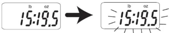 lb oz 15:19.5 → 15:19.5