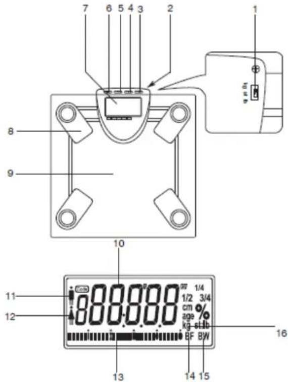 7 6 5 4 3 2 8 9 10 11 12 13 14 15 16 q m 0.01 1 2 3 4 5 6 7 8 9 10 11 12 13 14 15 W 1/4 cm %age kg-stlb BF BW